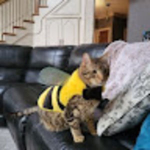 Meet your Posher, Emily